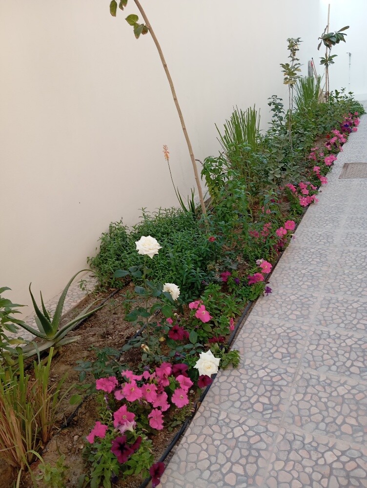 عمل لاحواض الزراعة - 3