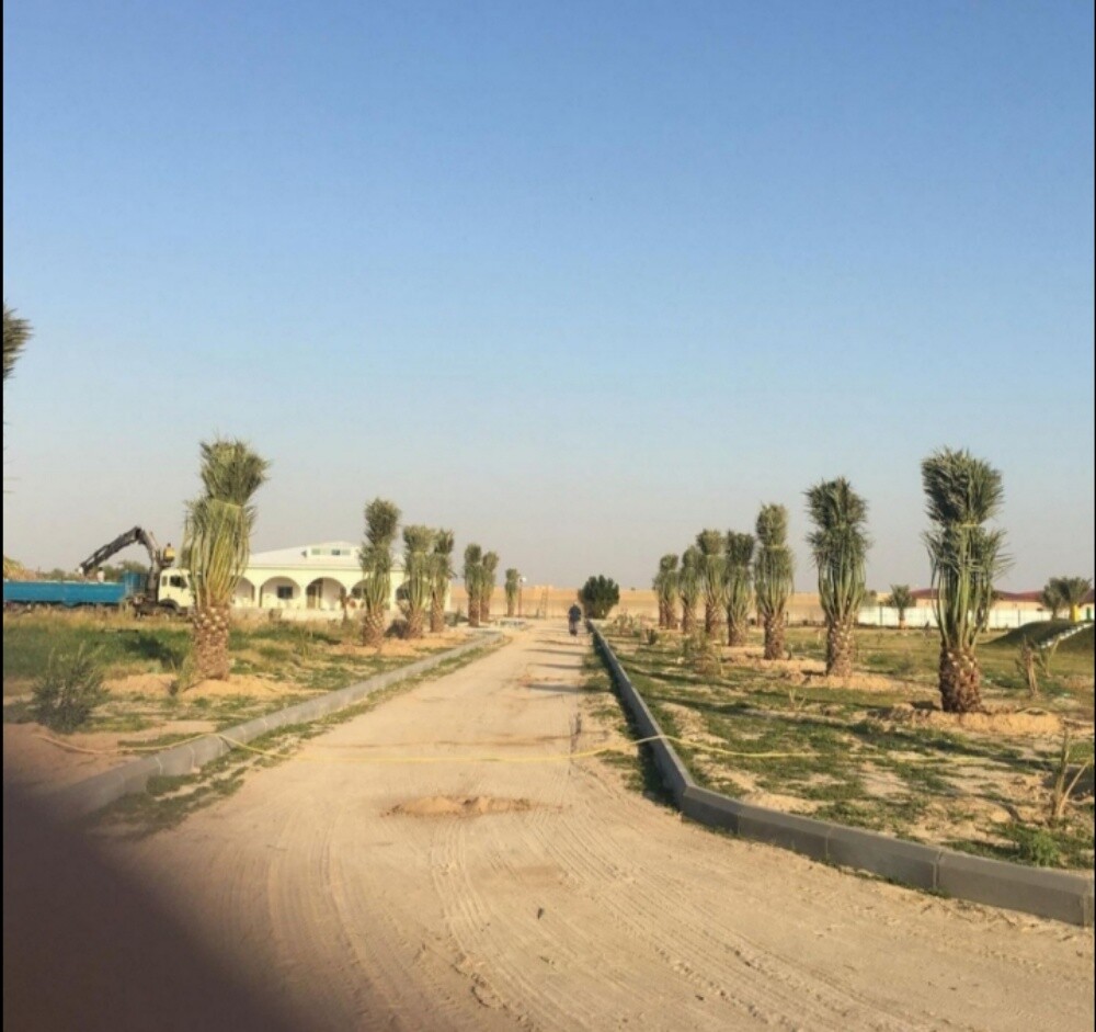 تركيب وتوريد النخيل وشنطونيا - 4