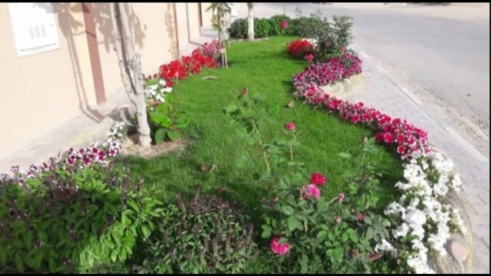 مزراع - 14