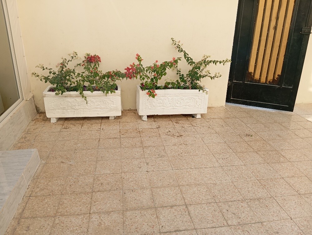 زراعه وديكور - 15