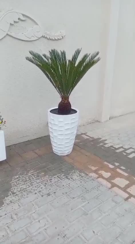 زراعه وديكور - 1