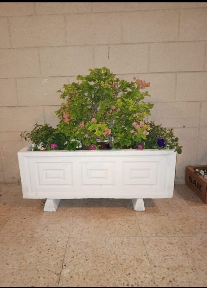 ترتيب لاحواض الزراعة وزرعت لأشجار - 12