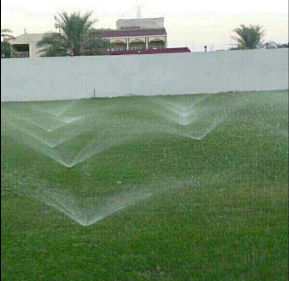 تنسيق وترتيب الحدائق وعمل الصيانة - 3