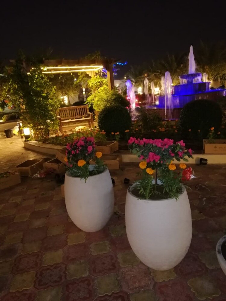 زرعه وديكور - 11