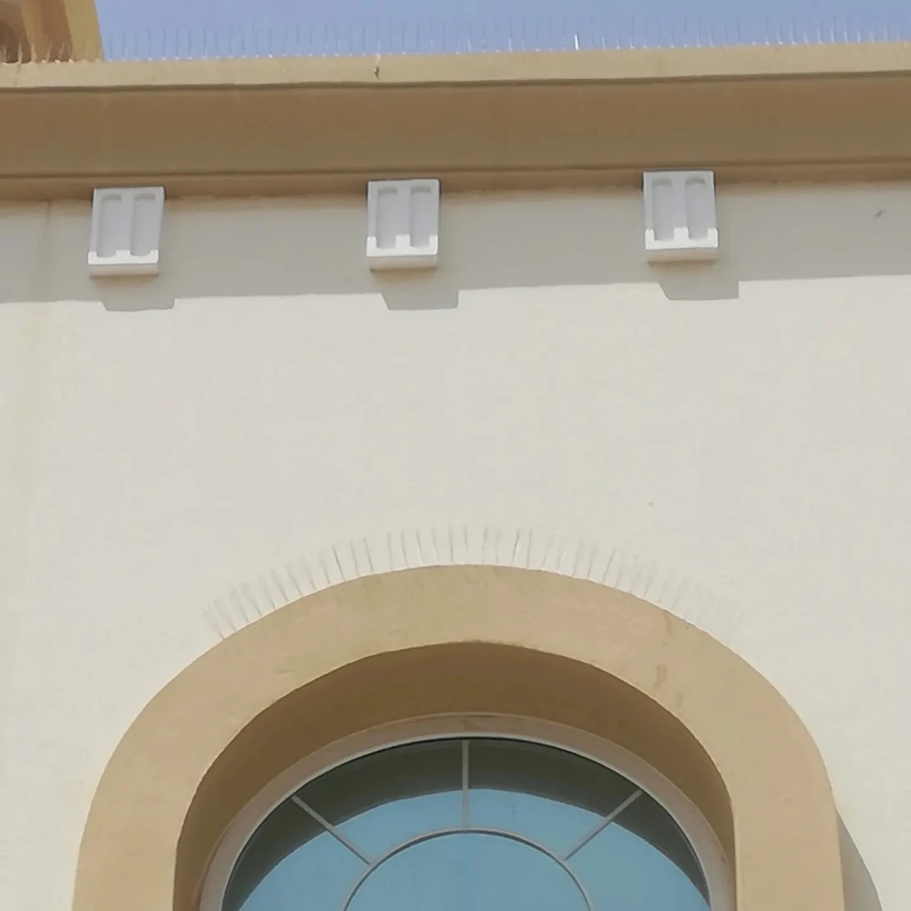 طارد الحمام  نهائيا - 9