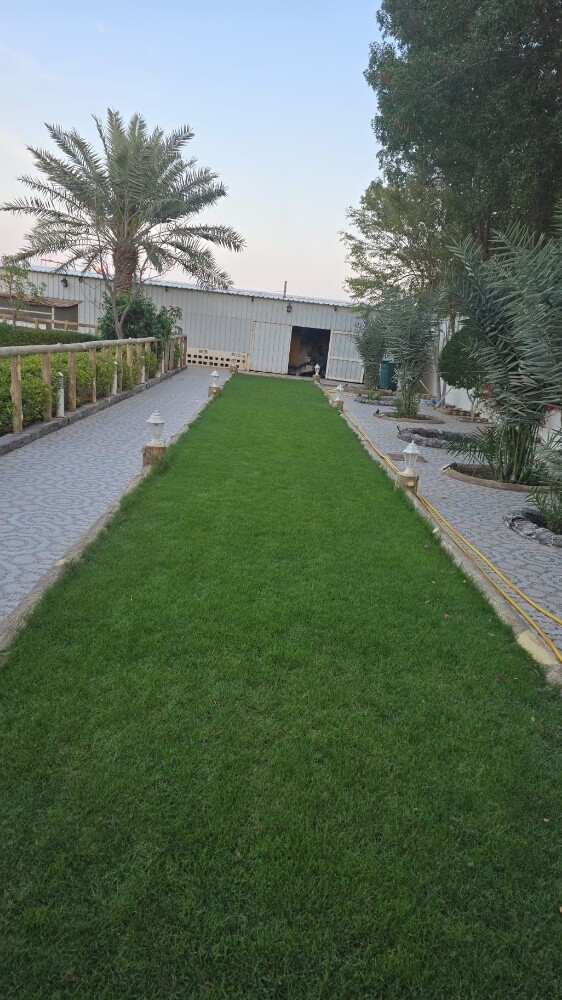 تنسيق الحدايق - 3