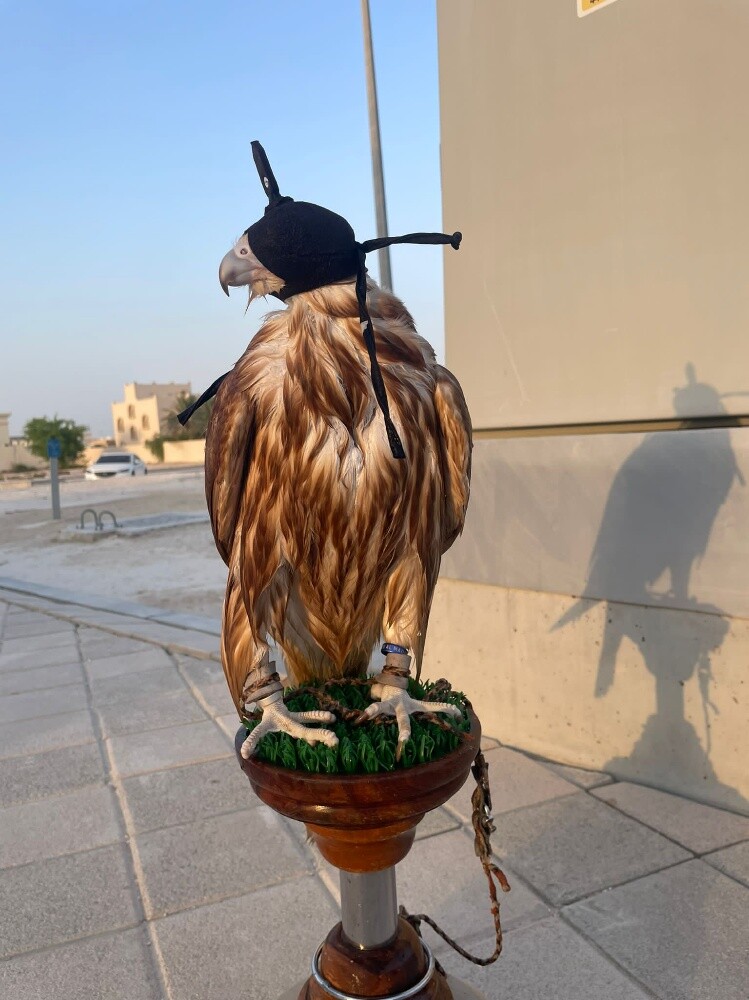 Falcon embroidery masine - 2