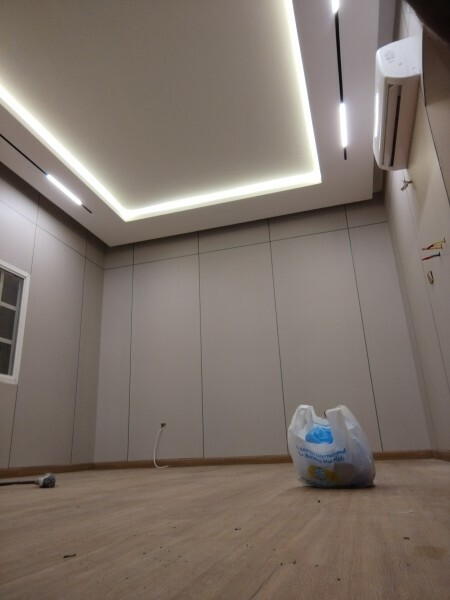 Professional Gypsum worker - 2