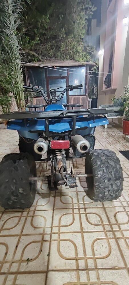 buggy for sale - 2