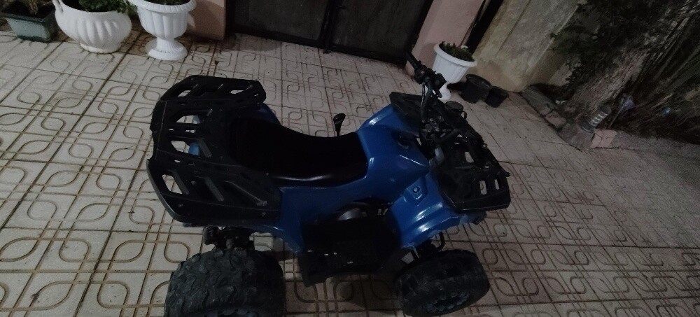 buggy for sale - 3