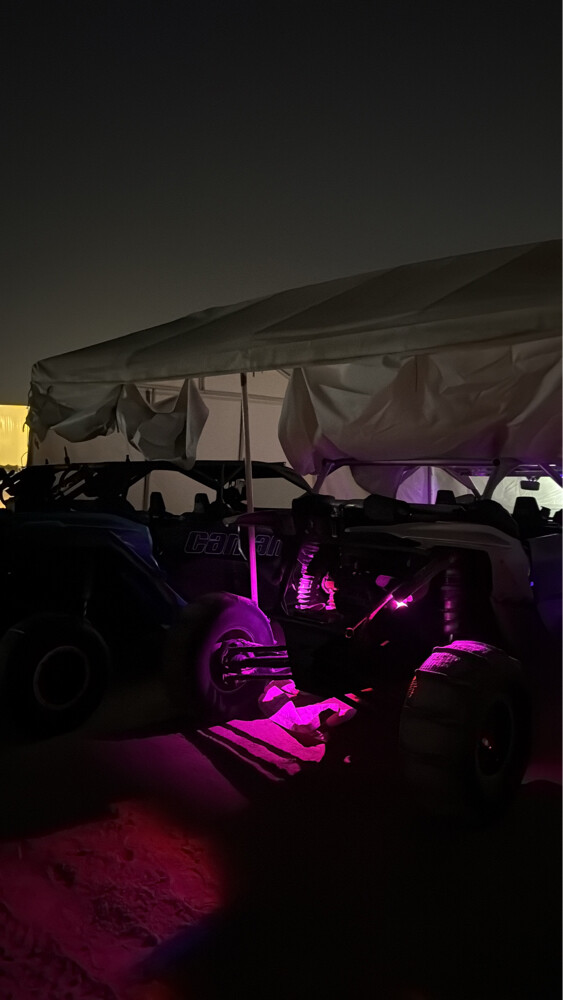 للبيع كنم 2019 - 4