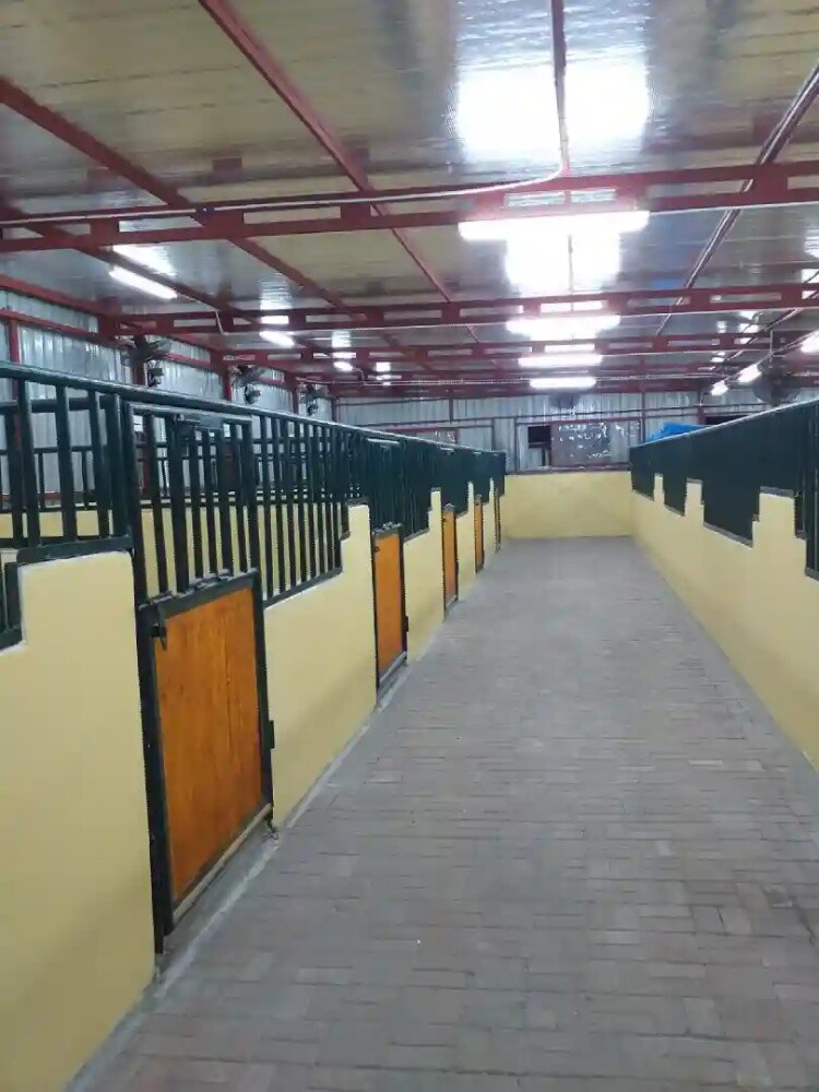 اسطبل خيل - 1