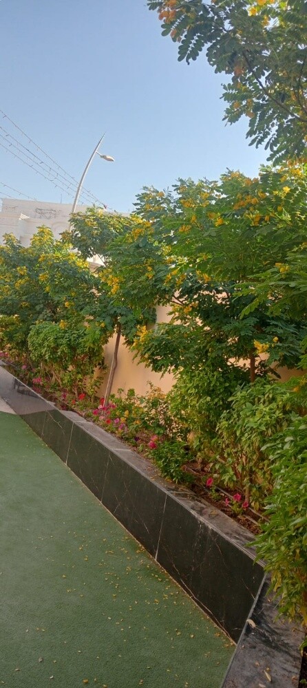 مزارع زراعة وصيانه وترتيب الحدائق - 1