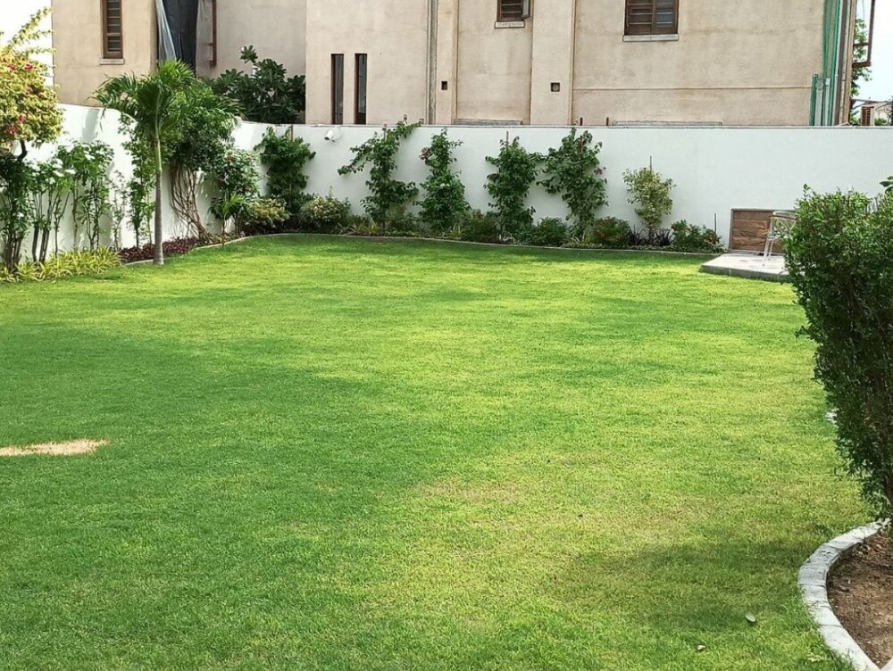 زراعه وديكور - 3