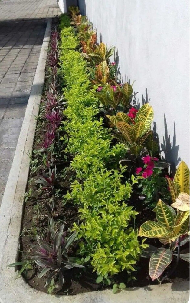 زراعه وديكور - 1