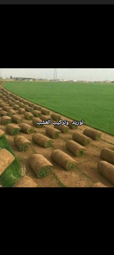 مزارع توريد وتركيب العشب الطبيعي - 1