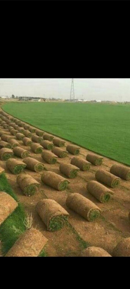 مزارع توريد وتركيب العشب الطبيعي - 1