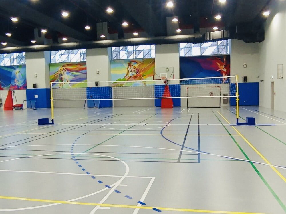 Volleyball net - 2