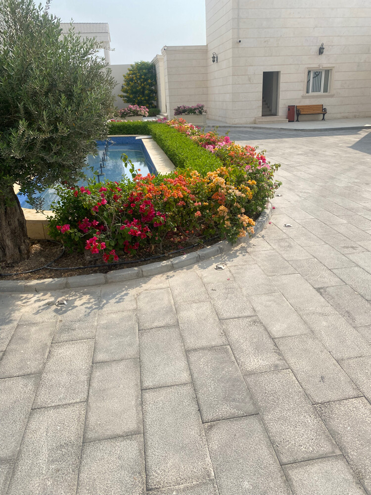 مزارع - 2