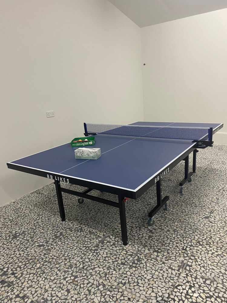 Tennis Table  - 1