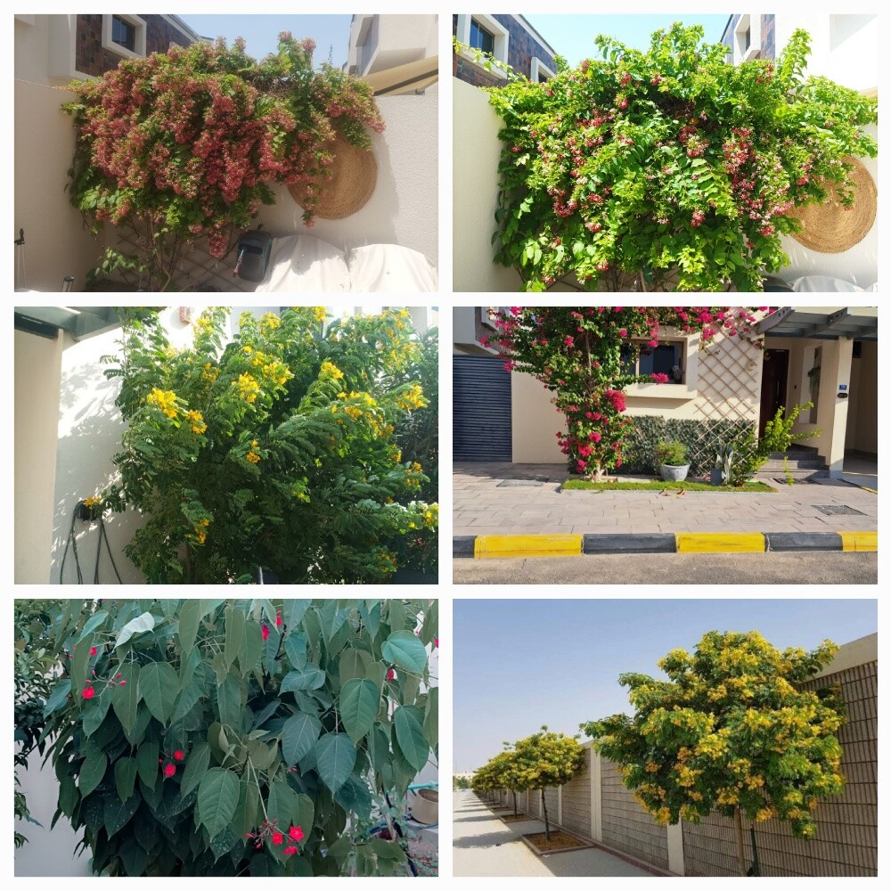 مزارع - 1