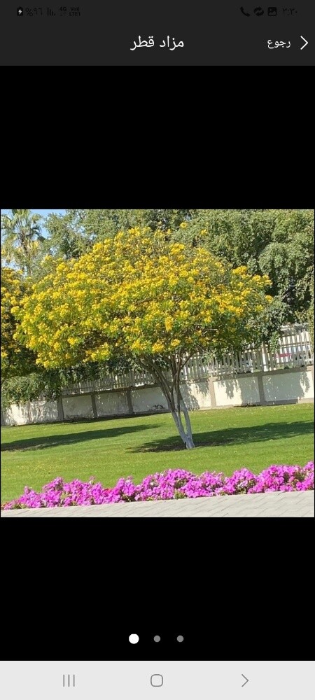 مزارع تنسيق الحدائق ومتابعه شهري - 1