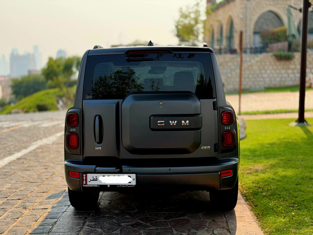 HAVAL H9 - 17
