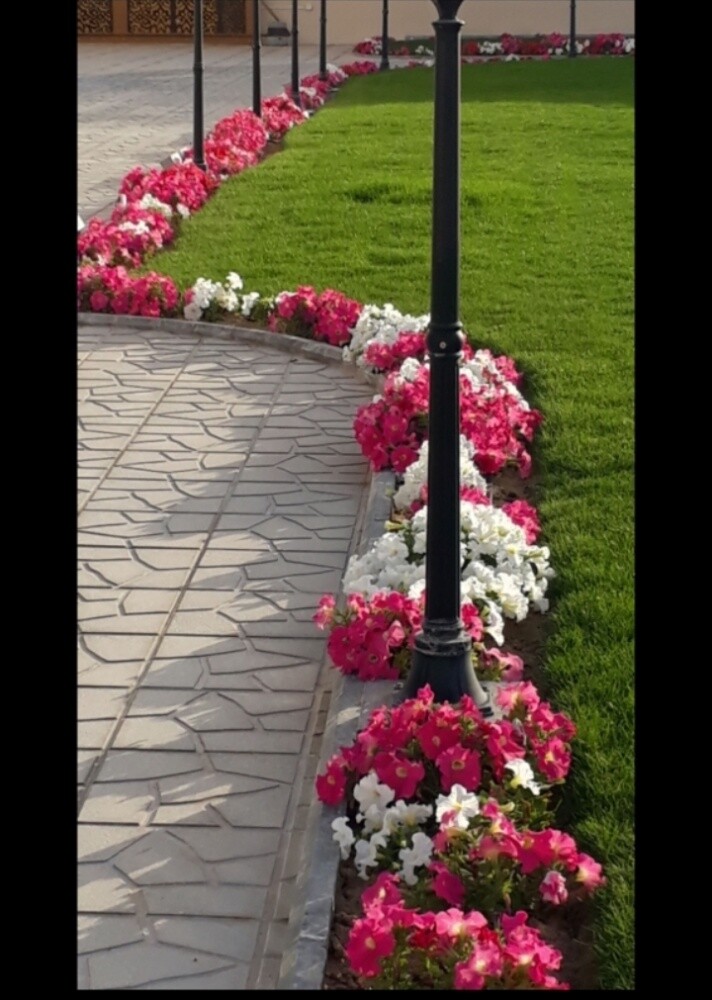 تنسيق الحدائق - 18