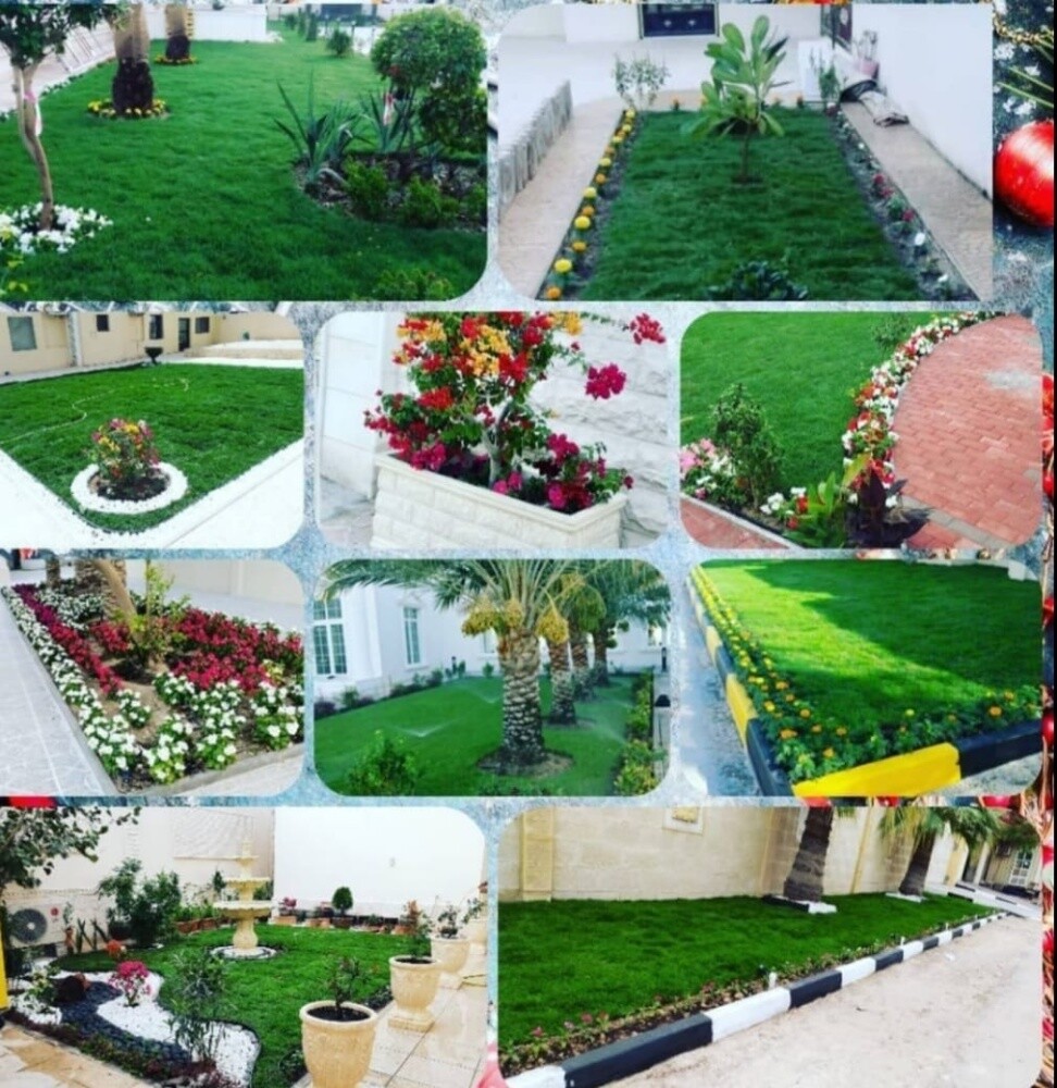 Garden new landscape - 5