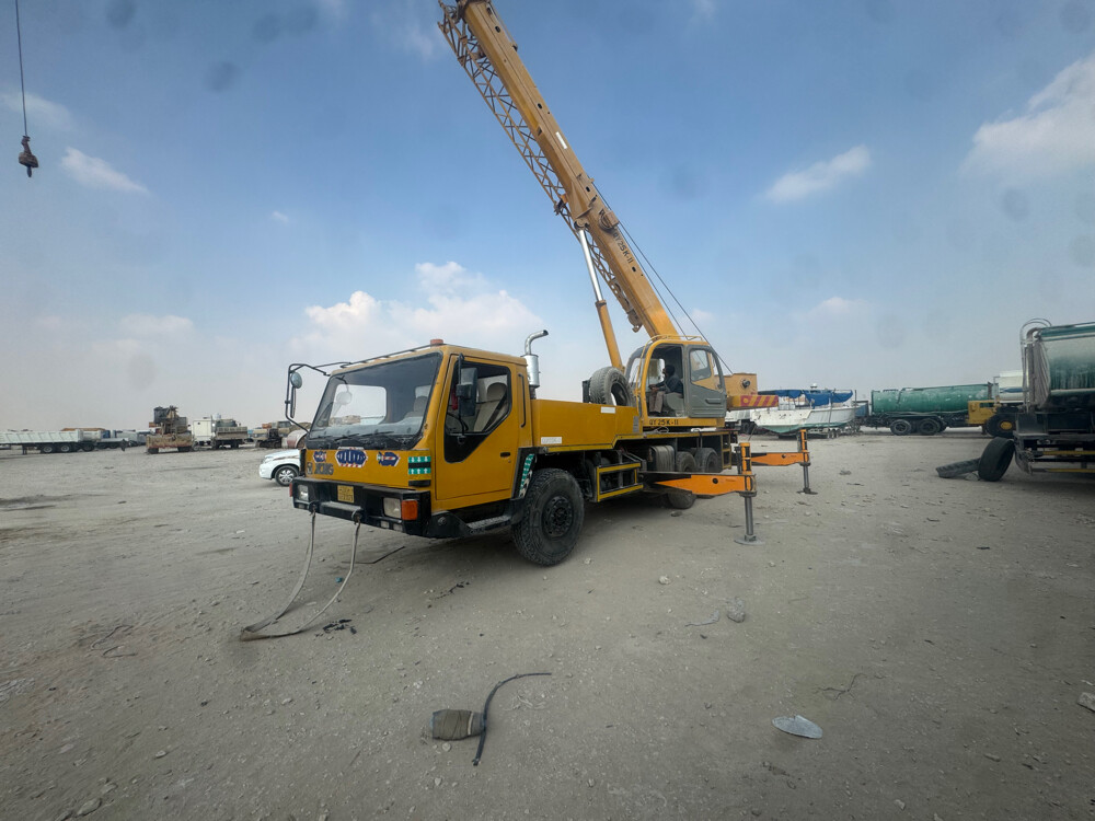 للبيع كرين 25 طن - 4