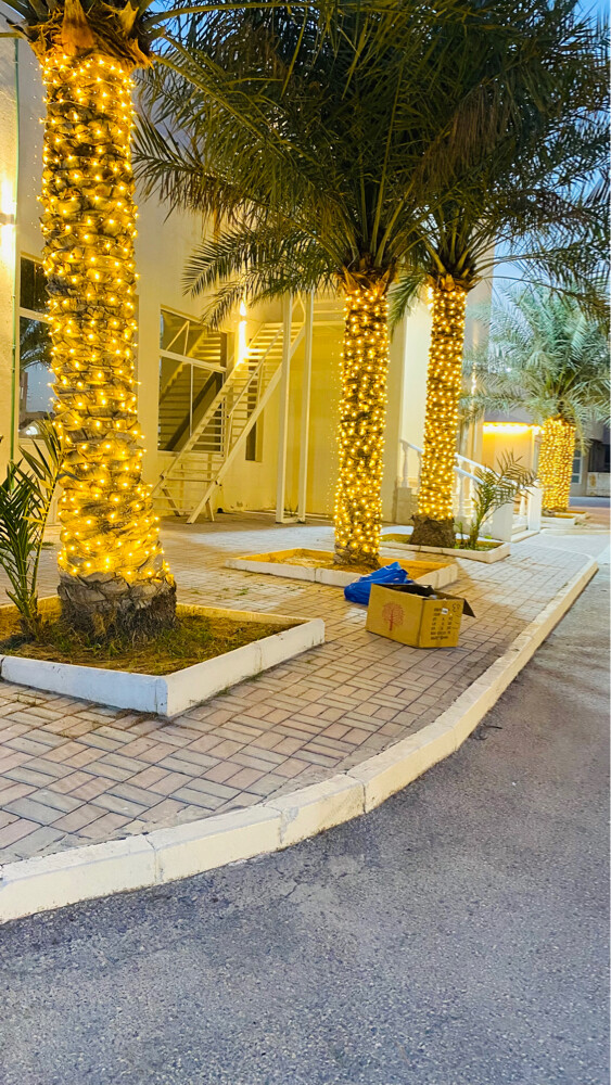 Wedding lighting party lighting - 2