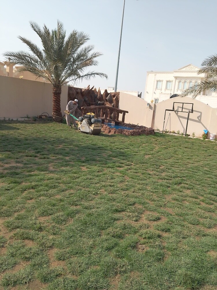 زراعة العشب الشتلات - 3