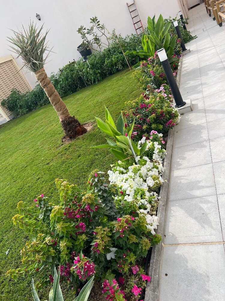 قص وترتيب الحدائق - 5