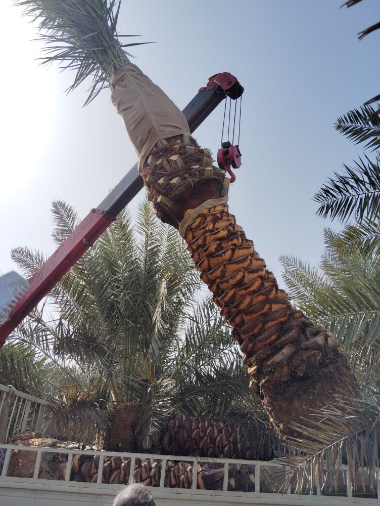 مزارع - 14