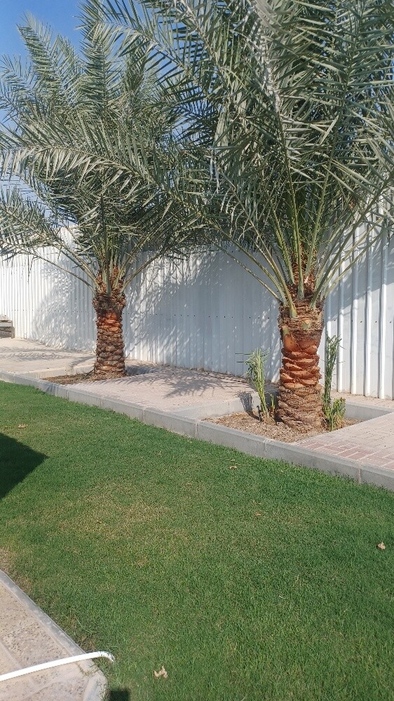 مزارع - 11