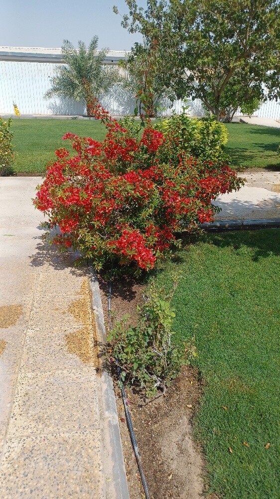 مزارع - 5