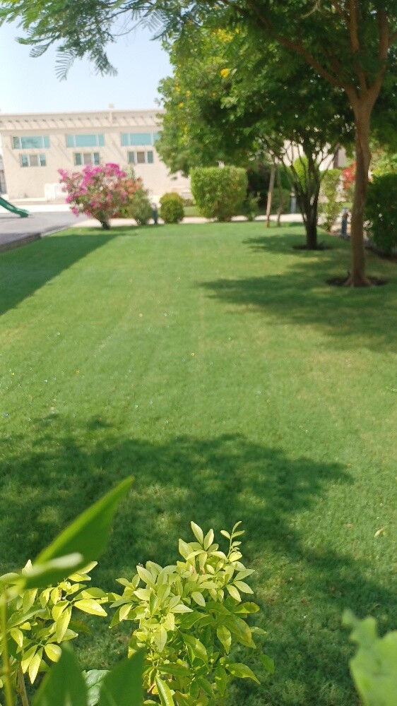 مزارع - 7