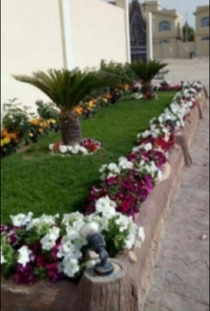 مزارع ومنسق حدايق - 2