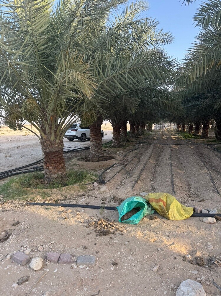 صيانه الحدائق - 3