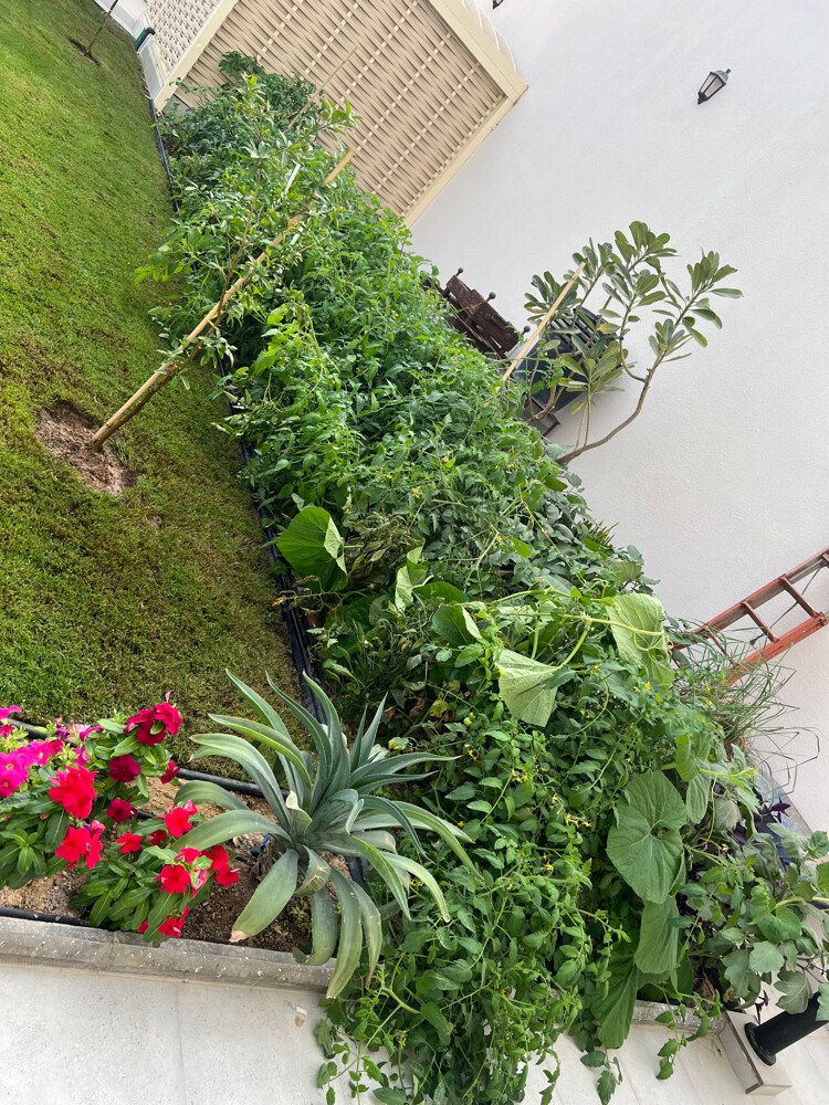 ترتيب الحدائق  - 4