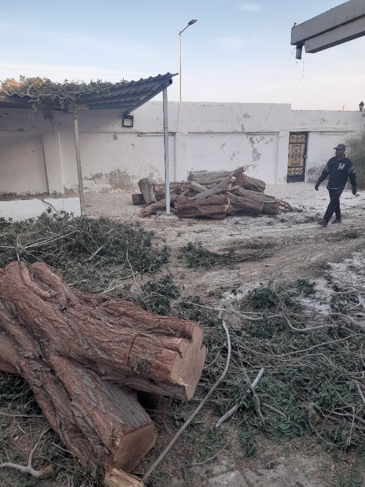 زراع تقطيع اشجار ونخل وعشب وتنسيف - 1