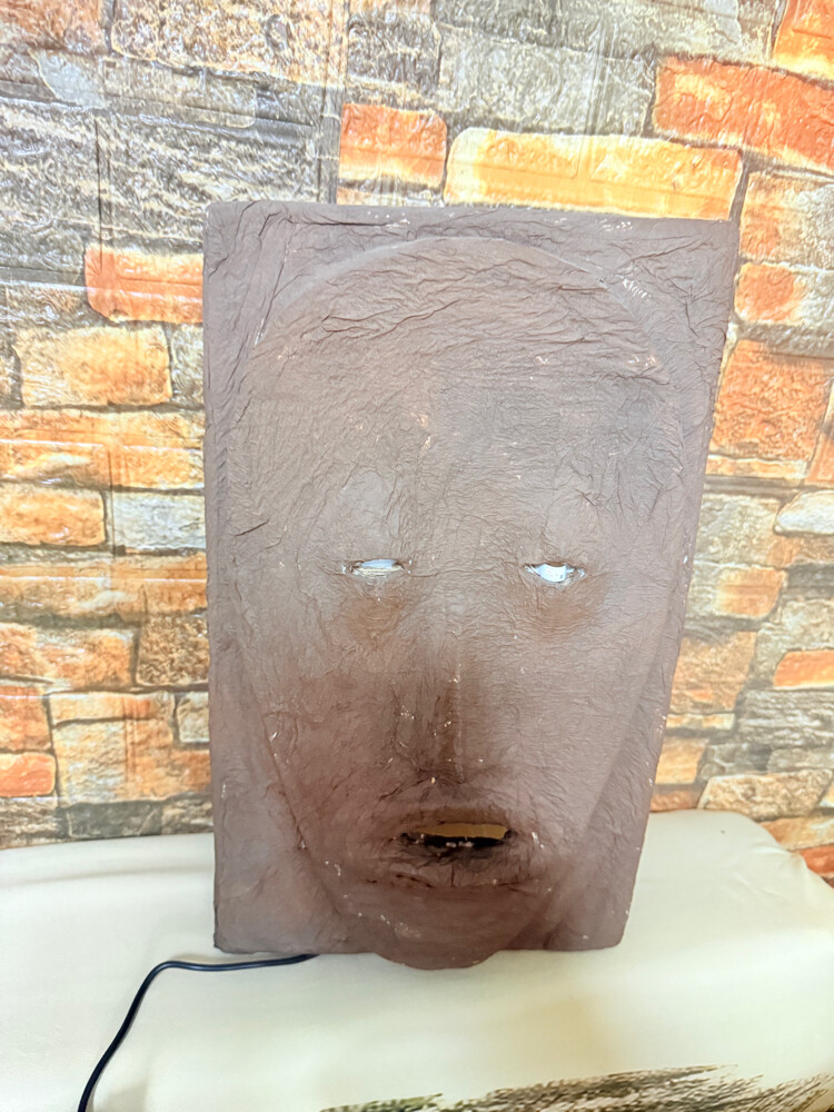 Illuminated face mask - 2