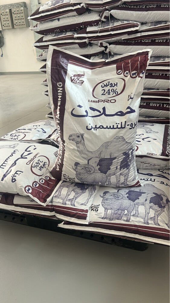حملان ٢٤٪ بروتين - 2