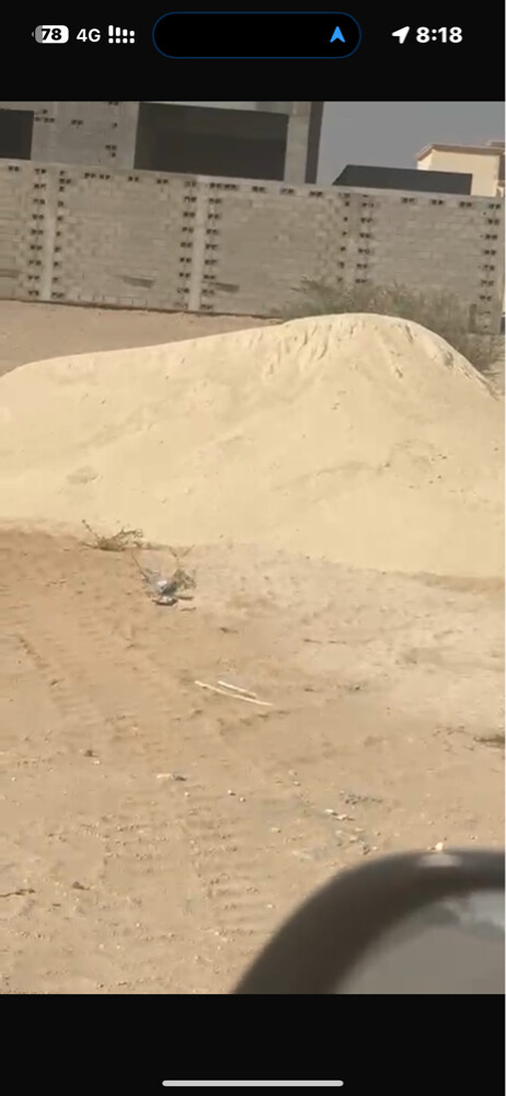 saera - 3