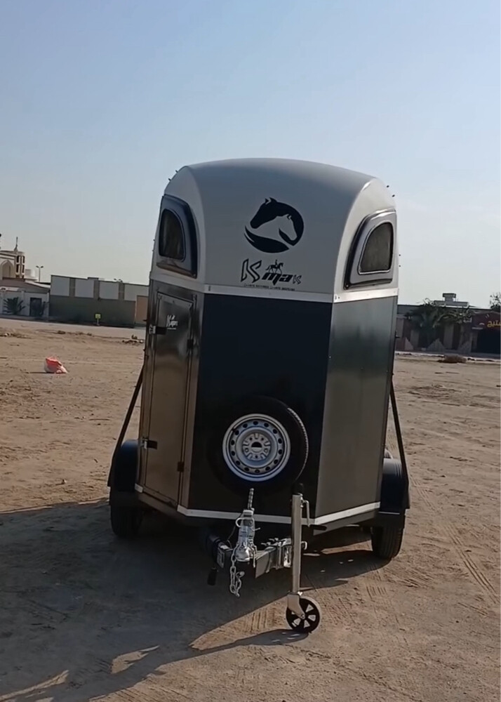 عربات خيل بحرينيه - 4