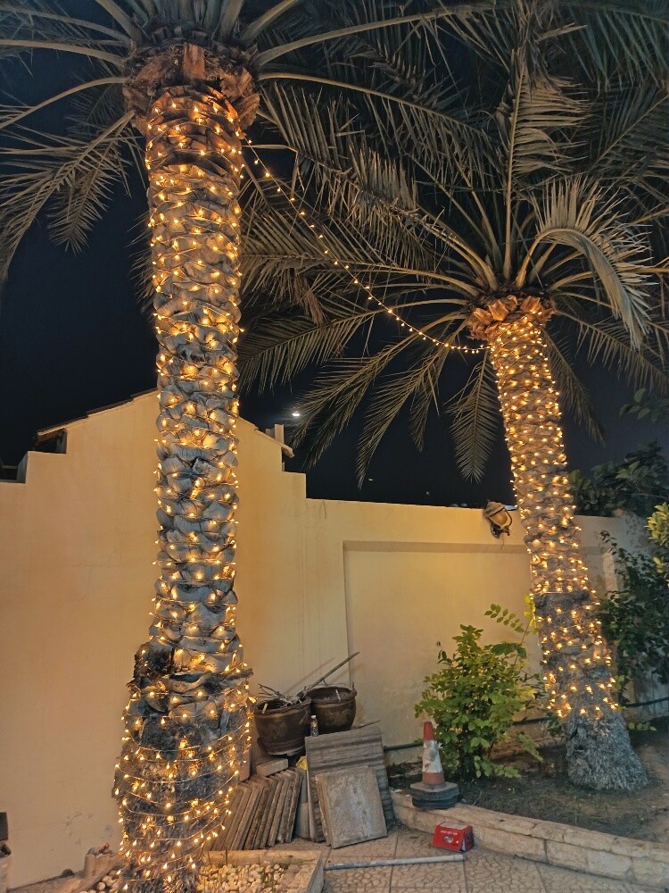 Qatar Wedding Event Lighting - 3
