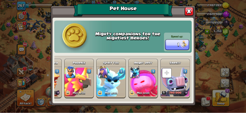 TH 17 almost max account - 10