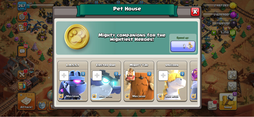 TH 17 almost max account - 9