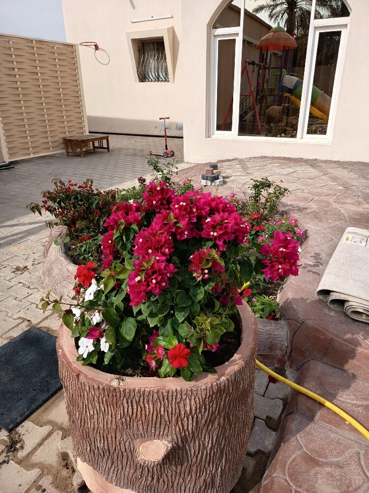 مهندس زراعي - 4