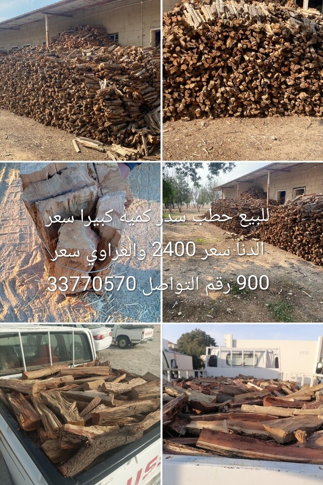 للبيع حطب سدر - 1